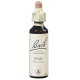 Floral de Bach Pine 20ml