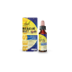 BACH RESCUE KIDS NOITE GOTAS 10ML S. ALC