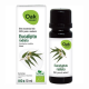 Oak Organic S.A O.Essen.Bio Eucal Radi10