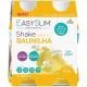 Easyslim Shake Sabor a Baunilha 2 x 250ml