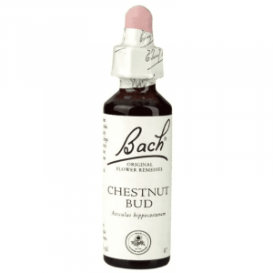 Floral de Bach Broto de Castanha 20ml