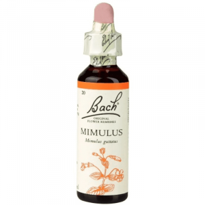 Floral de Bach Mimulus 20ml