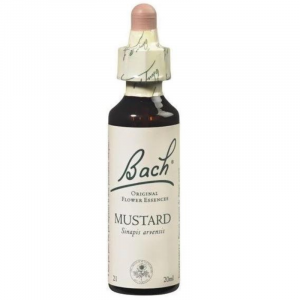 Floral de Bach Mustard 20ml