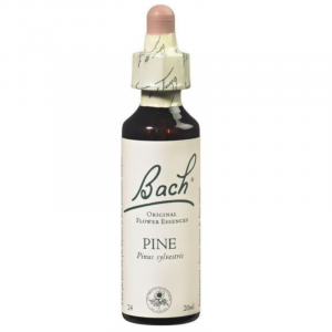 Floral de Bach Pine 20ml