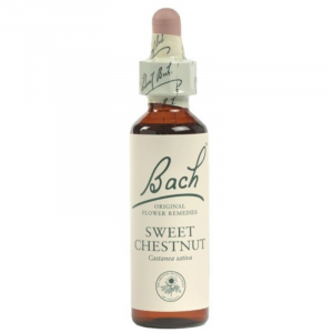 Floral de Bach Sweet Chestnut 20ml