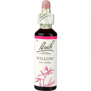 Floral de Bach Willow 20ml