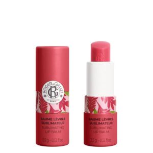 RG GINGEMBRE ROUGE STICK LABIAL 3,5G